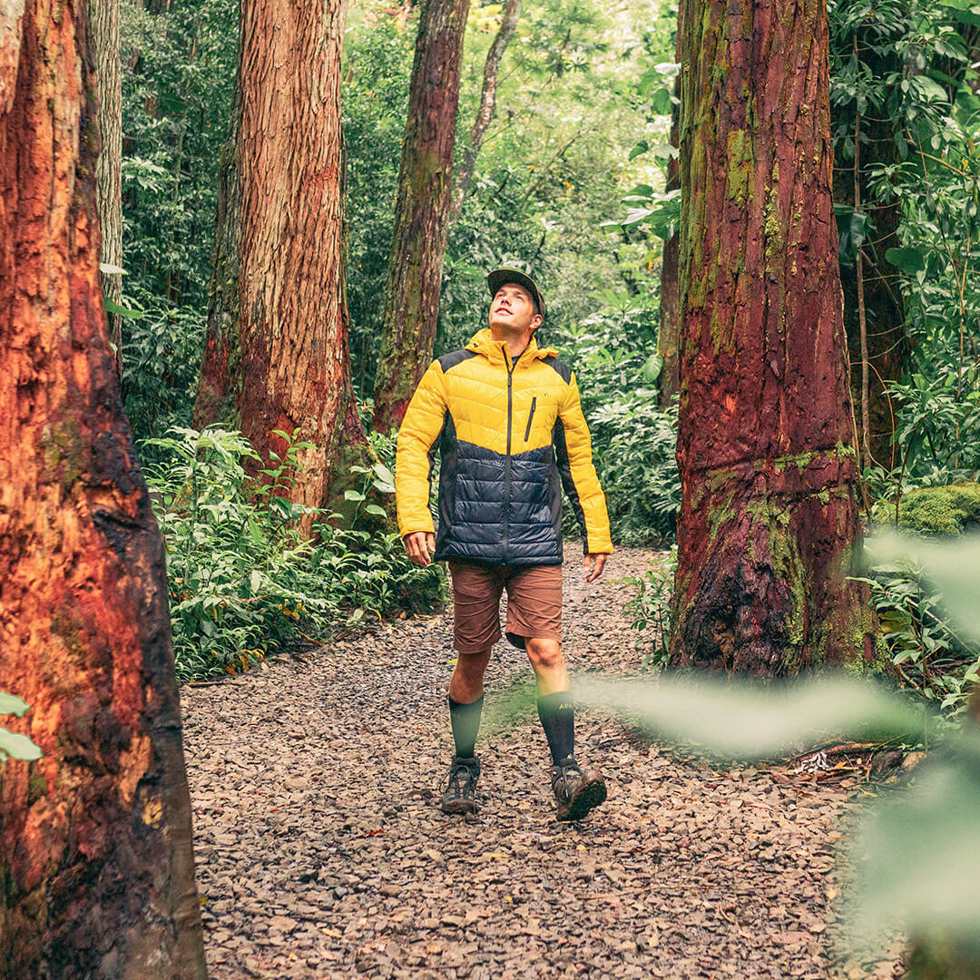 EcoDown Jacket - Men Yellow